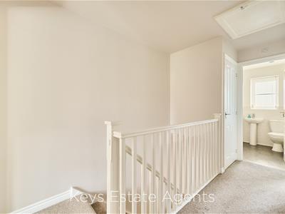 Picture 13